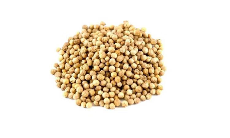 Sabut Dhaniya (Whole Coriander Seeds) for Pooja