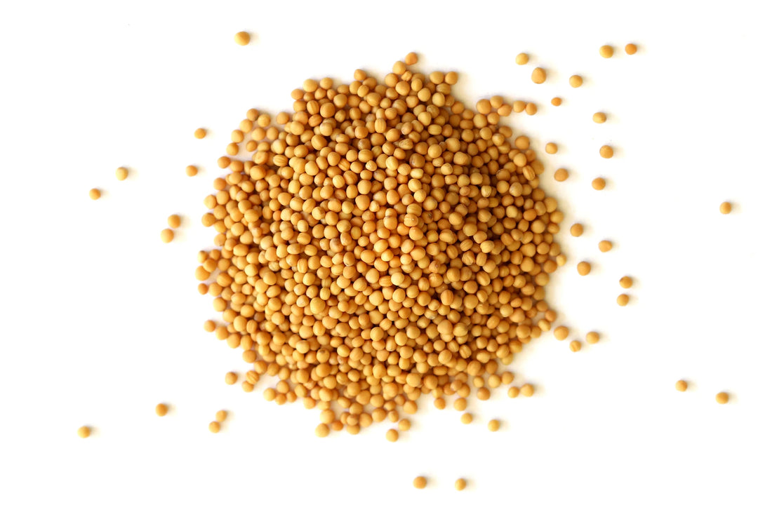 Yellow Mustard Seeds (Peeli Sarso) for Pooja
