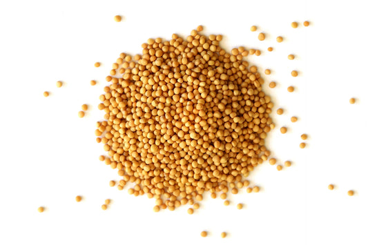 Yellow Mustard Seeds (Peeli Sarso) for Pooja